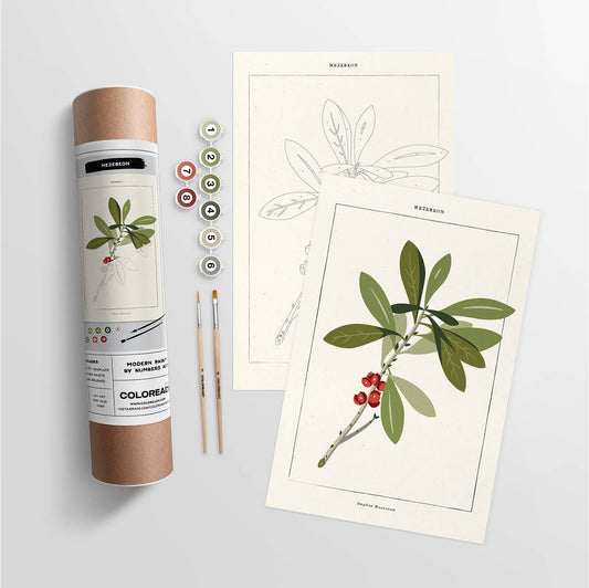 Mezereon Botanical | Modern Paint By Numbers Kit