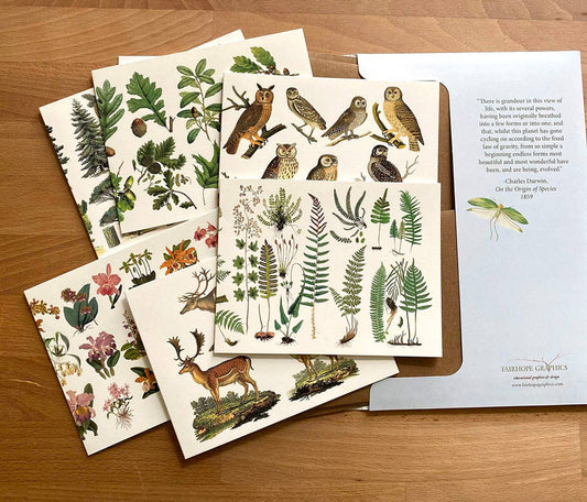 Woodland Card Pack